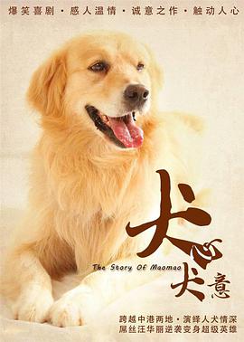 火线追凶之黑枪疑云